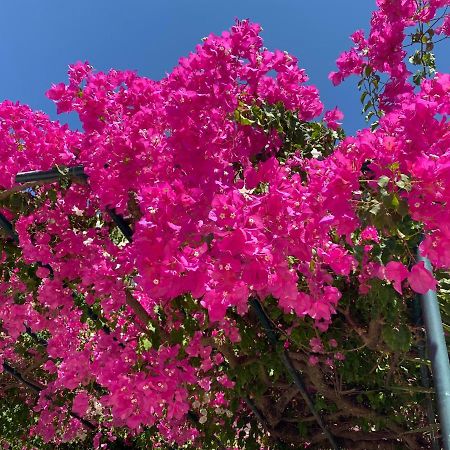 Casa Buganvilla Minia ภายนอก รูปภาพ