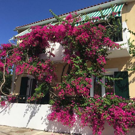 Casa Buganvilla Minia ภายนอก รูปภาพ
