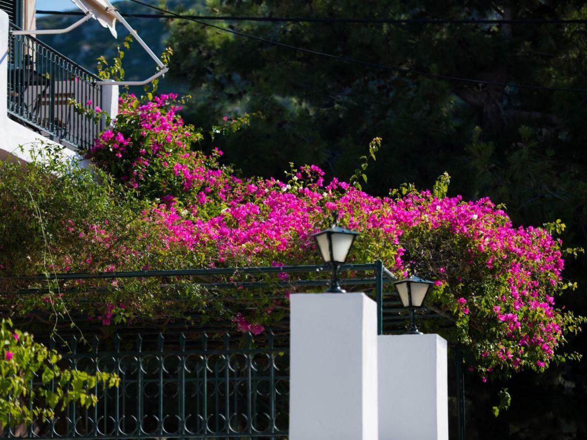Casa Buganvilla Minia ภายนอก รูปภาพ