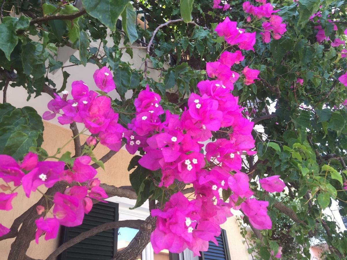 Casa Buganvilla Minia ภายนอก รูปภาพ