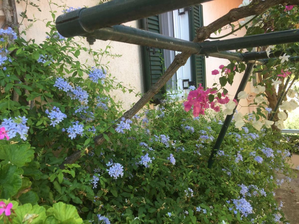 Casa Buganvilla Minia ภายนอก รูปภาพ